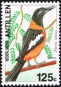 Venezuelan Troupial (Icterus icterus)